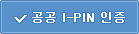 공공 I-PIN 인증